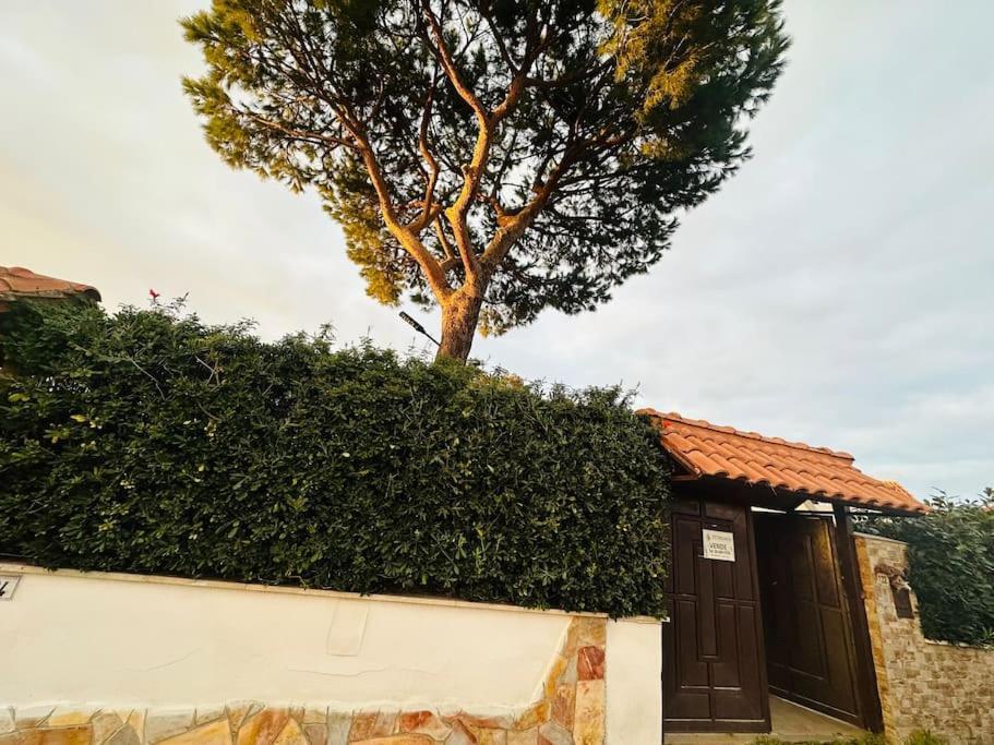Fontana House Villa Marina di Cerveteri Ngoại thất bức ảnh